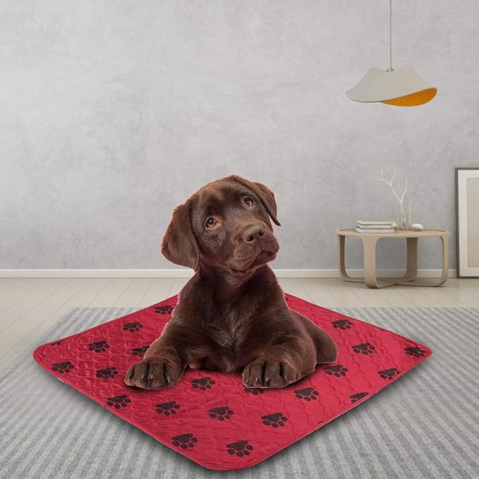 Reusable Dog Pee Pad, Absorbent Pet Urine Mat for Dogs and Cats, 4 - Layer Machine Washable Mat with Barrier for Hard Floors, Print Design in (80 * 90cm)