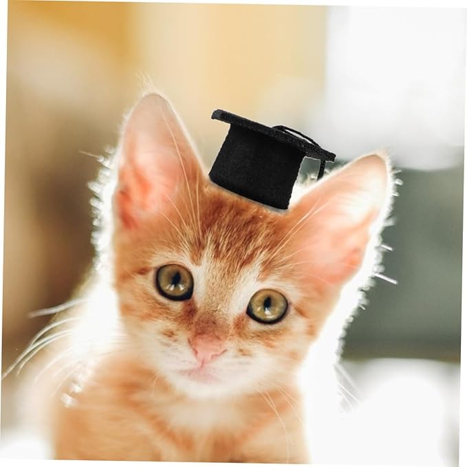 2pcs Black Tassel Dog Doctoral Caps Elastic Graduation Hats for Pet Party Supplies Creative Multi-Purpose Dog Dr Hats and Small Pets