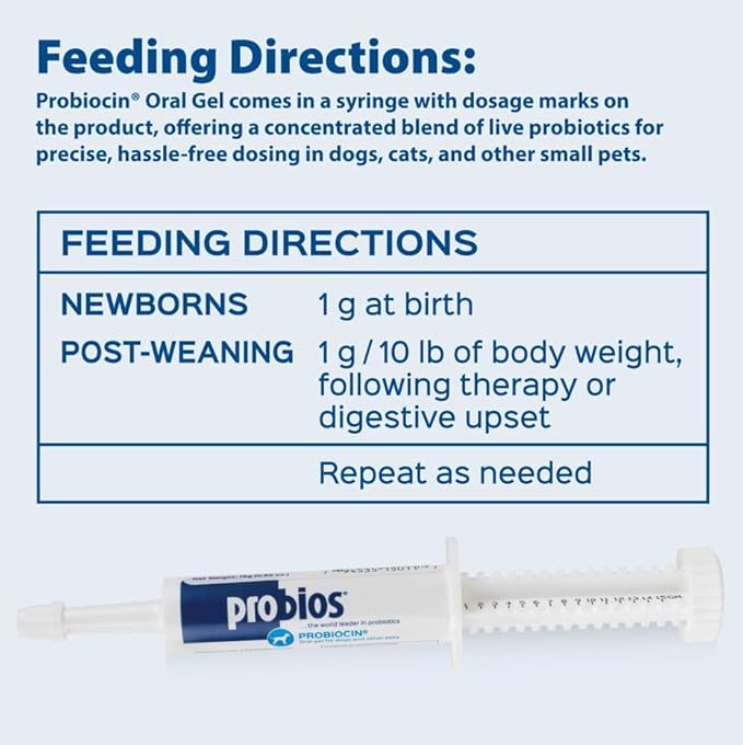Probios Probiocin Oral Pet Gel for Dogs and Cats, Probiotic Supplement for Digestive & Immune Support, 15 g Tube