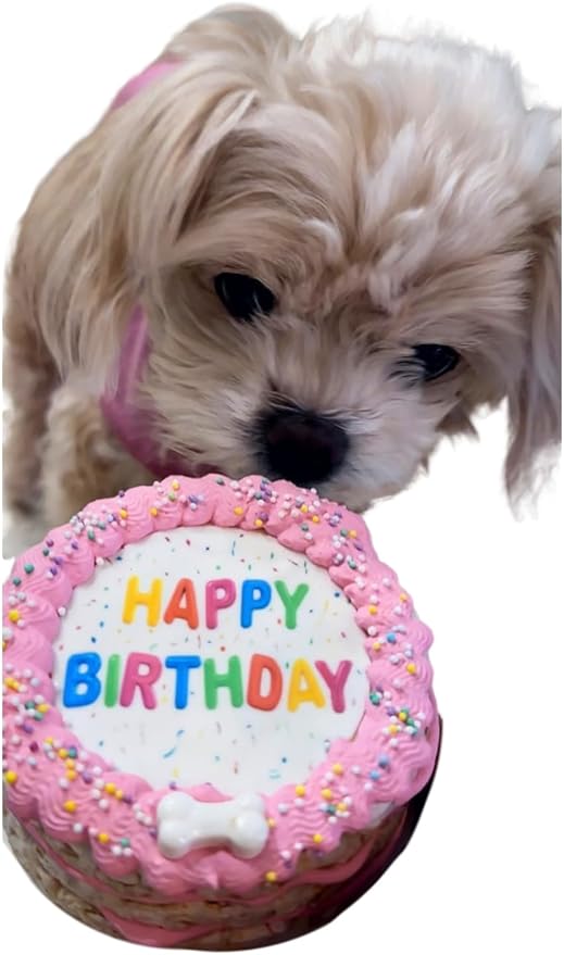 Crispy Vanilla Pink Dog Birthday Cake- Edible Puppy Party Crispy Vanilla Rice Cake-