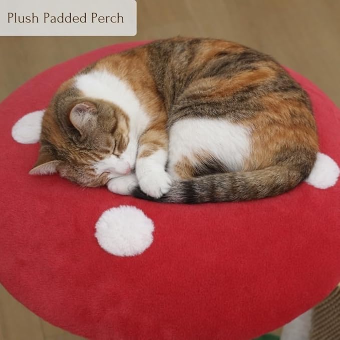 PetPals Mushroom Cat Perch Tree with Replaceable Nature Sisal Scratching Post, Multi-Functional Mushroom Cat Tower with Self Grooming Brush and Spring Toy, for Indoor Kittens, 20“High, Multi-Color