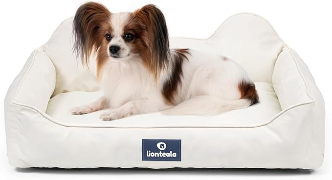 EarsUp Dog Bed 31Inch Leather Dog Sofa, Detachable Orthopedic Puppy Beds, Rectangle Pet with Non-Slip Bottom, Waterproof, Machine Washable (White)