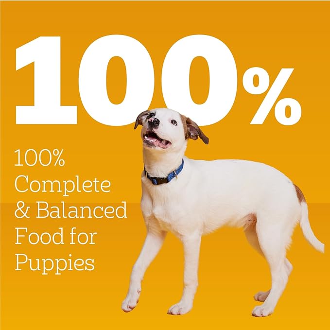 Pedigree Puppy Chopped Ground Dinner Wet Puppy Food with Lamb & Rice, Canned Dog Food, 13.2 oz. Cans, 12 Count