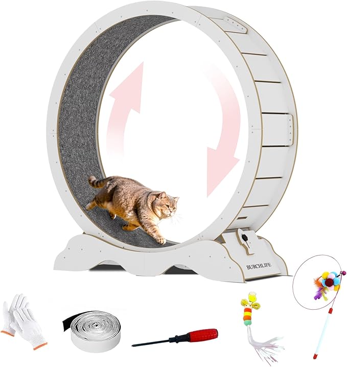Cat Exercise Wheel 45 Inch Cat Treadmill for Indoor Cats, Running Wheel with Detachable Carpeted Runway, Cats Running Wheel Carpet Suitable for Most Pets Weight Loss and Health (White, L)