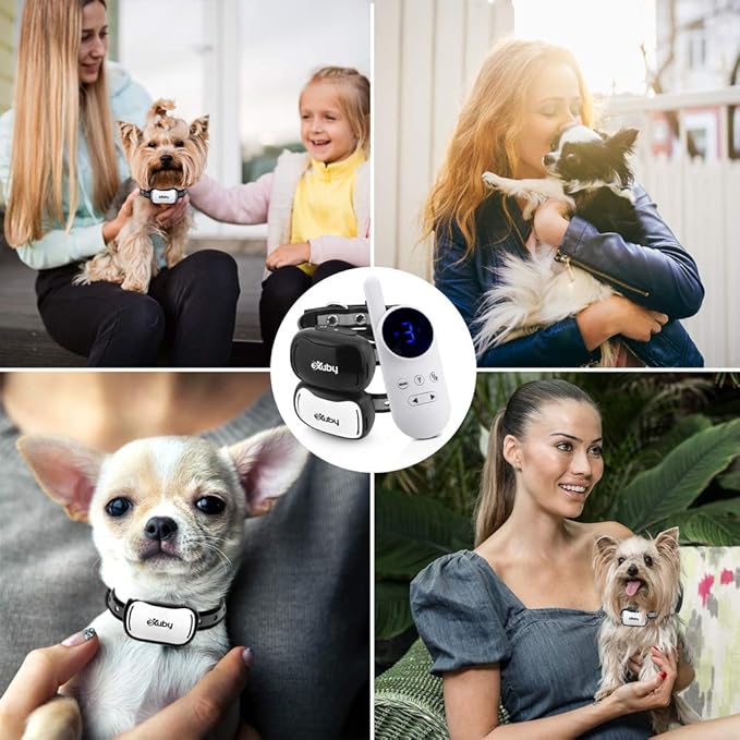 eXuby Tiny Dual Shock Collar - Smallest Collar on The Market - Sound, Vibration, Shock - 9 Intensity Levels - Pocket-Size Remote - Long Battery Life - Water-Resistant - White Remote
