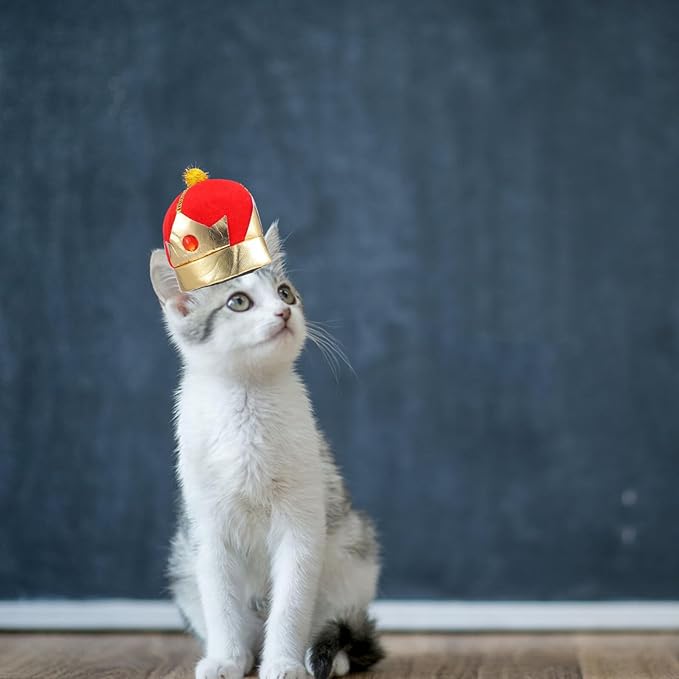 Angoily Dog Cat Crown Hat Adjustable Decorative Puppy Party Pet Supplies Halloween Costume Headwear for Small Medium Pets