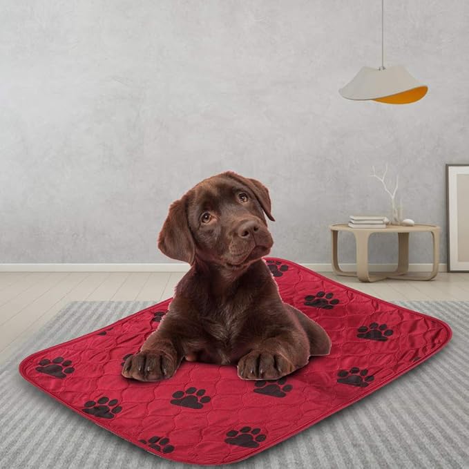 Reusable Dog Pee Pad, Absorbent Pet Urine Mat for Dogs and Cats, 4 - Layer Machine Washable Mat with Barrier for Hard Floors, Print Design in (40 * 60cm)