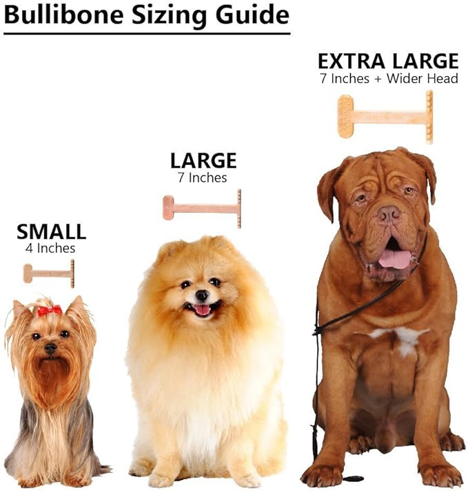 Bullibone Nylon Dog Chew Toy for Aggressive Chewers - Dental Hygiene Bone with Bacon Flavor, Durable Tough Chew Toys for Small Dogs, Indestructible Dog Bone - 3 Pack