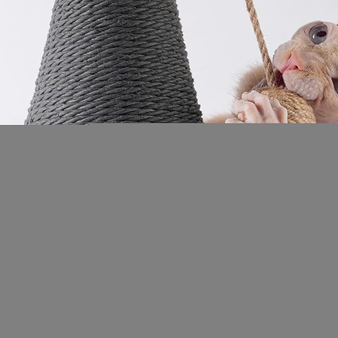 Vertical Cat Scratching Posts | with Ball Wine Bottle Natural Vertical Supplies | Stimulating Cat Toys,for Mental Stimulation Simulation Home Play Training Floor Play Travel Indoor