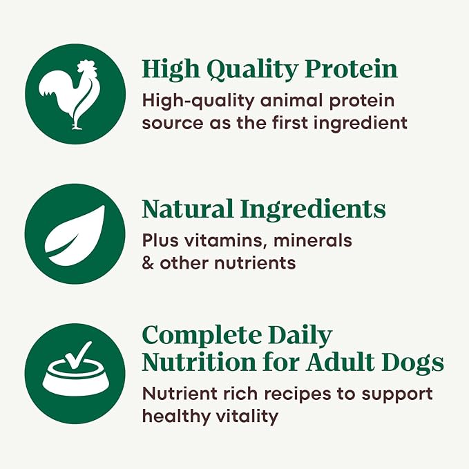 Nutro Hearty Stew Canned Wet Dog Food, Natural Grain Free Dog Food Wet Cuts in Gravy Tender Chicken with Carrot & Pea Stew, 12.5 oz. Cans (12 Count, Pack of 1)