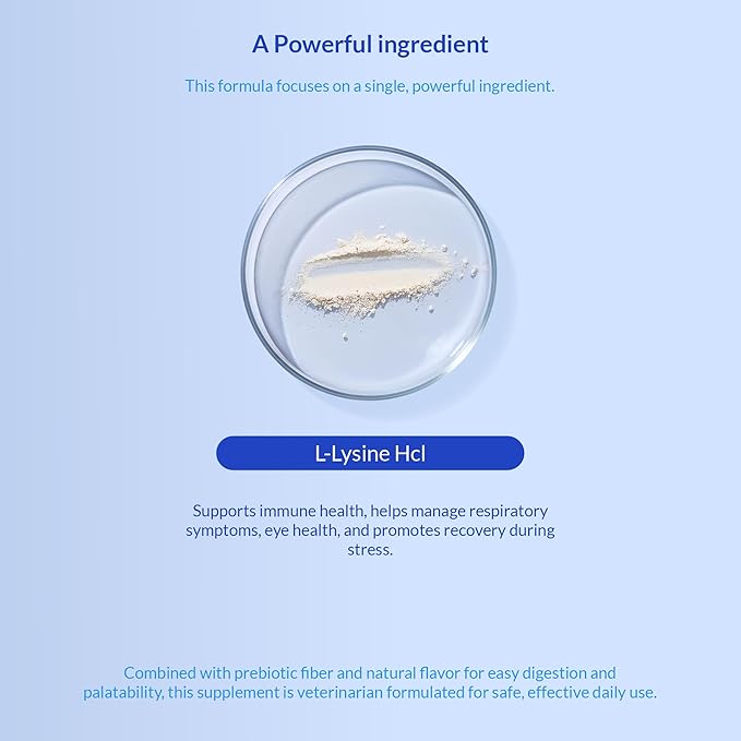 L-Lysine Supplement for Cats 900mg/scoop - Cat Supplement for Sneezing and Runny Nose, Cold, Immune Support, Eye Function, and Respiratory Health – Lysine Powder