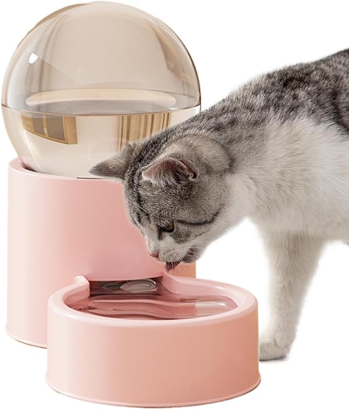 Automatic Pet Water Dispenser for Dogs and Cats – Indoor Water Supply for Pets – for Use in Indoor Patio, Living Room, Home, Holidays, Travel and Getaways End