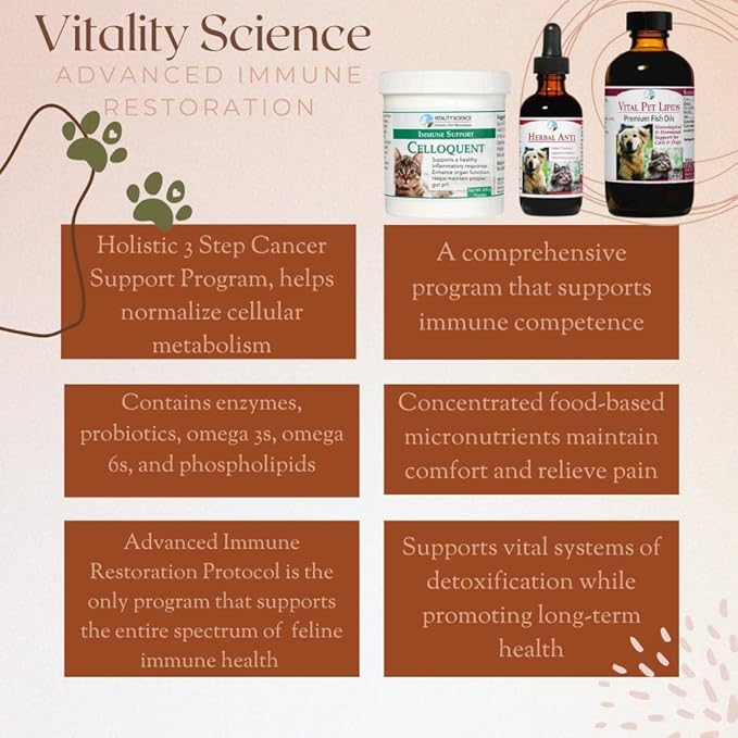 Vitality Science Advanced Immune Restoration Supplements for Cats | Intense Regeneration Protocol | Helps with Pain Relief (Large)