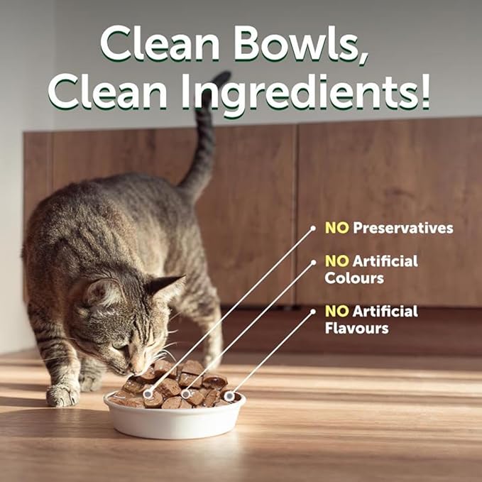 Cats Premium Wet Food 85g Pouch — Moist, Soft Cat Food Mixer, Topper and Rotational Meal (6-Pack, Chicken)