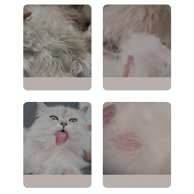 Pet Steamy Brush, Type C Rechargeable Pet Grooming Comb, Electric Massage Cat Dog Hair Care Tool, Portable Pets Cleaning Brush Accessory, for Small Medium Large Kitten Puppy Home Use