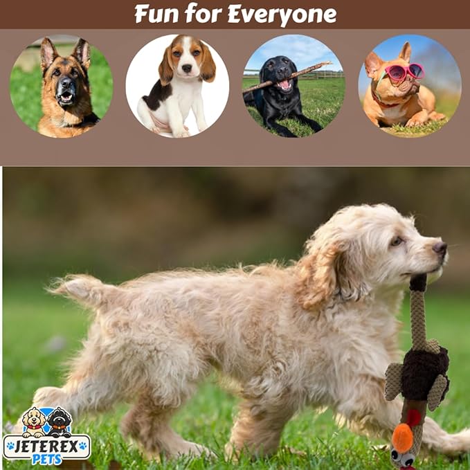 Large Dog Toy - Chicken Squeaky Dog Toys for Large Dogs, Medium and Small Dogs. Durable with Pineapple Plush Fabric, Long Legs, Hidden Seams, Reinforced Stress Points, Googly Eyes