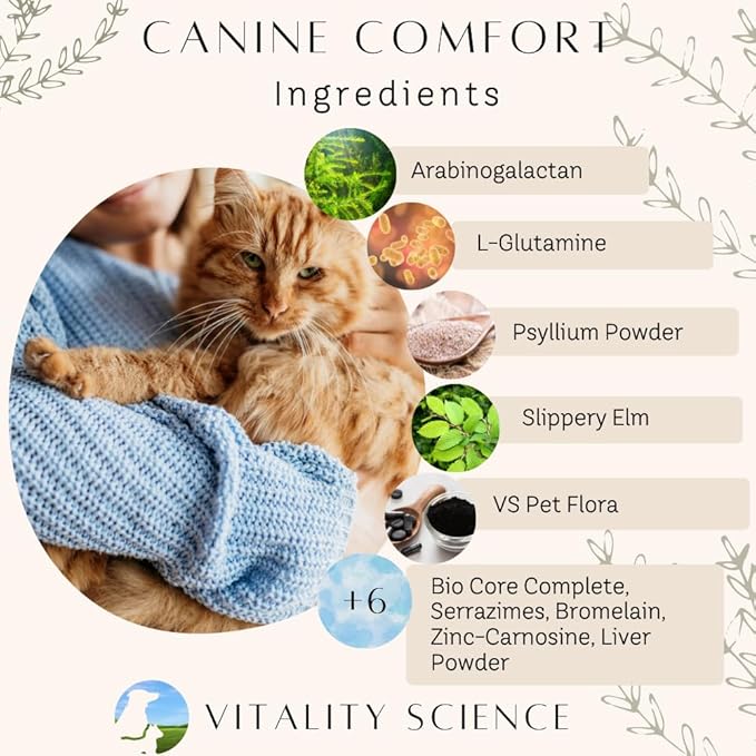 Vitality Science Canine Comfort for Dogs | Maintains a Healthy Intestinal Tract and Proper Gut Flora| Restores Gastric Distress | Helps with Vomiting and Diarrhea | 100% Additive Free(Liver Small)
