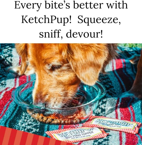 Natural Ketchup for Dogs, Human-Grade Dog Food Topper & Meal Enhancer, Sweet Potato, Carrot & Beef Bone Broth, USA Made, Packed with Vitamins & Fiber, 3 Pack, 1.5 oz Packets (4.5 oz Total)
