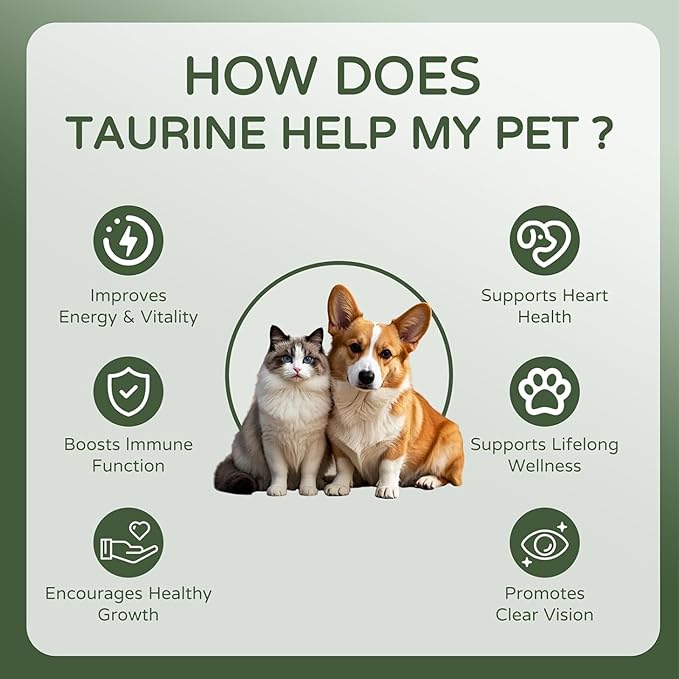 Pawvita Taurine Supplement – 99.9% Pure Taurine Powder for All Dogs and Cats，Advanced Heart, Vision & Cognitive suppor, Easy to Mix in Food200g(1)