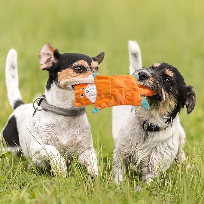 No Stuffing Dog Toys - 5 Pack Squeaky Dog Toys Plush Set for Puppy Teething,Durable Chew Toys for Small Medium Dogs,Cute Holiday Pet Toys for Playing Training Reducing Boredom
