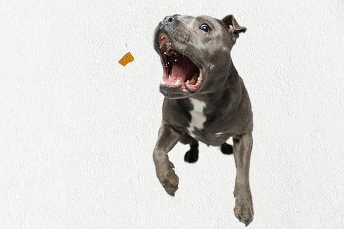 Bussin' Bites Premium Human Grade Freeze Dried Dog Treats/Cat Treats Training Treats and Meal Topper (3 oz, Beef Liver)