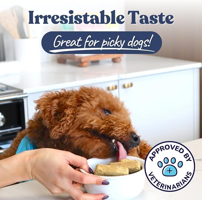 healthybud Raw Dog Food, Freeze Dried Turkey Patties, Grain Free Puppy Food, Human Grade, High Protein, Dehydrated Real Meat Dog Treats & Toppers, 14.1 oz