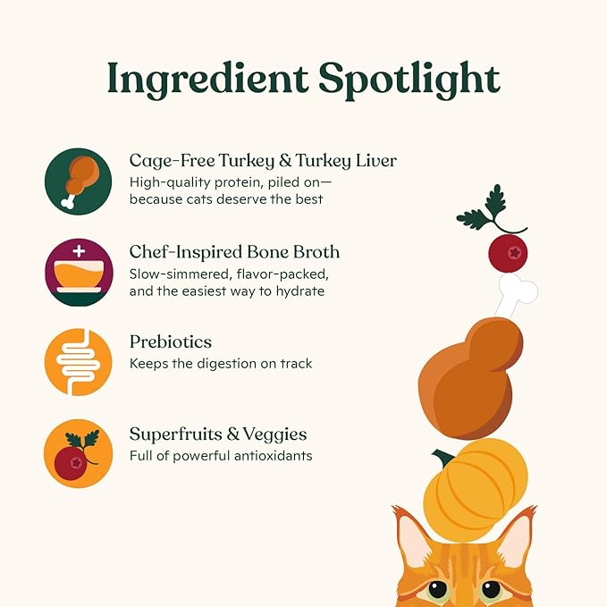 Made by Nacho Premium Wet Cat Food Grain-Free Pate Cans (Turkey & Turkey Liver - 6 Pack, 5.5 Ounce)