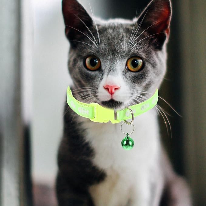 6pcs Fishbone Pattern Pet Collar Set with Bell, Mixed Colors Cat and Puppy Collar, Lightweight Outdoor Household Kitten and Dog Supply Random Color