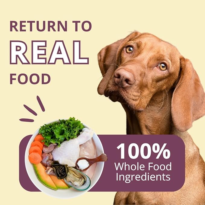 Steve's Real Food Freeze-Dried Raw Nuggets 2-Pack - Chicken Recipe - Raw Pet Food for Dogs and Cats - 20 oz in Each Bag