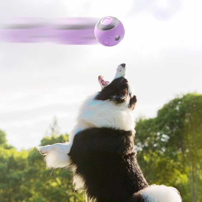 Genérico Moving Dog Ball - Electric Pet Toy | Rechargeable Quiet Dog and Cat Ball with LED Lights For Puppies Cats Aggressive Chewers Indoor Games Interactive Pet Supplies
