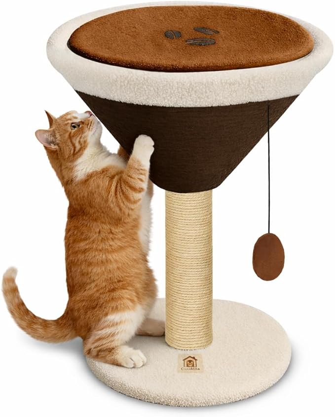 CasaMila Espresso Martini Cat Scratcher 20", Cat Scratching Post, Cat Tower, Cat Tree Tower, Scratching Post for Indoor Cats, Cat Scratcher, Small Cat Tree, Cute Cat Tree, Cat Post, Martini Cat Tree
