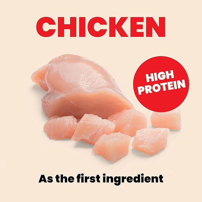 almo nature HQS Natural Wet Cat Food Chicken Recipe in Broth - Kitten, Grain-Free, 2.47 oz (Pack of 24)
