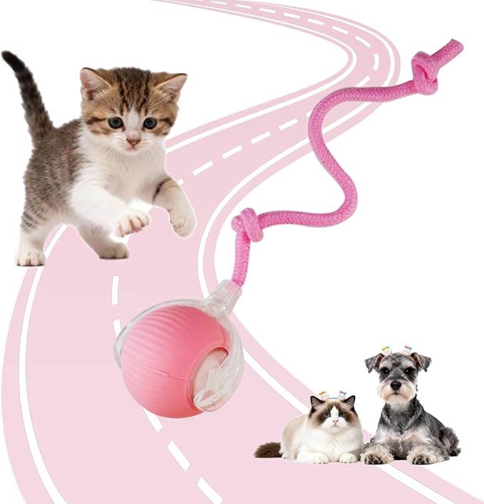Interactive Cat Toys Ball for Indoor Cats, Interactive Rolling Small Dog Cat Toys Automatic Self Moving, 360°,Electric Balls，Fast Rolling，Smart Automatic Rolling Pet Ball (Pink)