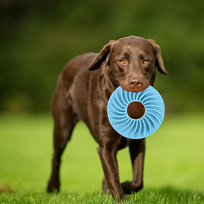 LIOOBO Dog Slow Feed Disc Slow Feeder Bowl Interactive Food Feeder for Puppies and Dogs with Food Puzzle Function Blue Sturdy Pet Feeding Supplies