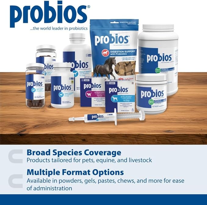 Probios Probiocin Oral Pet Gel for Dogs and Cats, Probiotic Supplement for Digestive & Immune Support, 15 g Tube