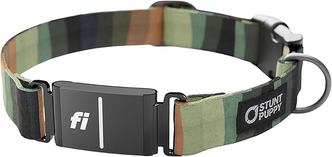 Stunt Puppy Dog Collar, Fi Series 3 Ready, Earthtone, Large - Compatible with Fi GPS Device (Not Included)