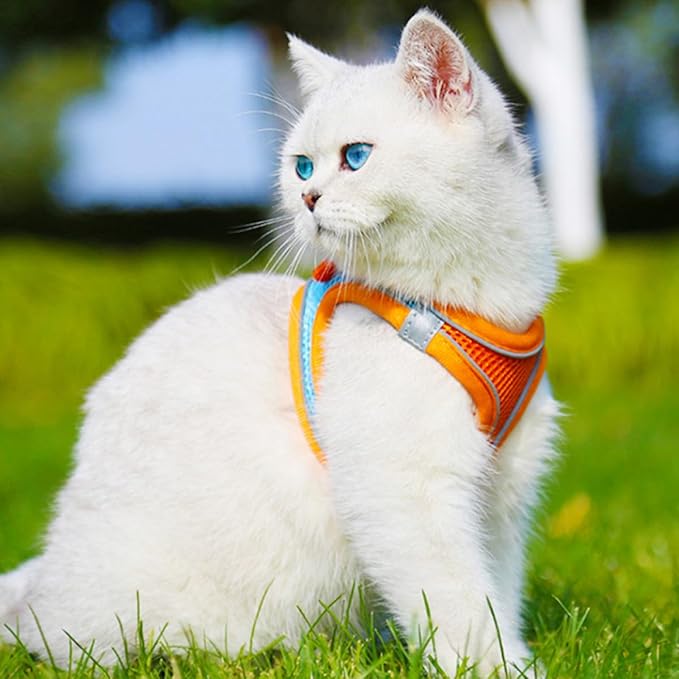 SUPVOX Pet Vest Leash with Reflective Breathable Mesh, No Pull Dog Harness and Puppy Walking Leash, Medium Size, Orange Set for Safe Outdoor Pet Supply
