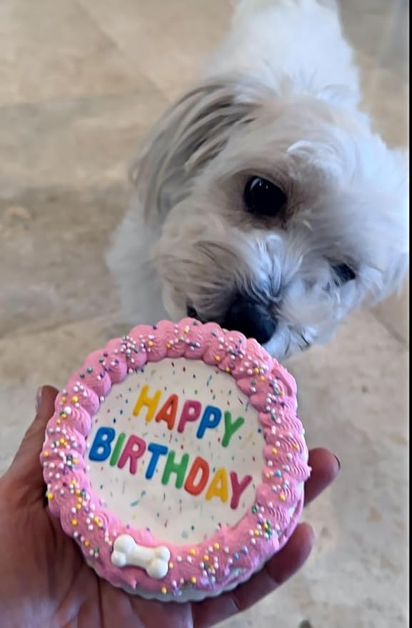 Lot of 6 Dezicakes Crispy Vanilla Pink Dog Birthday Cakes- Edible Puppy Party Crispy Vanilla Rice Cake- Handmade with Love- Perfect Dog Party Cake Boxed, Iced and Decorated