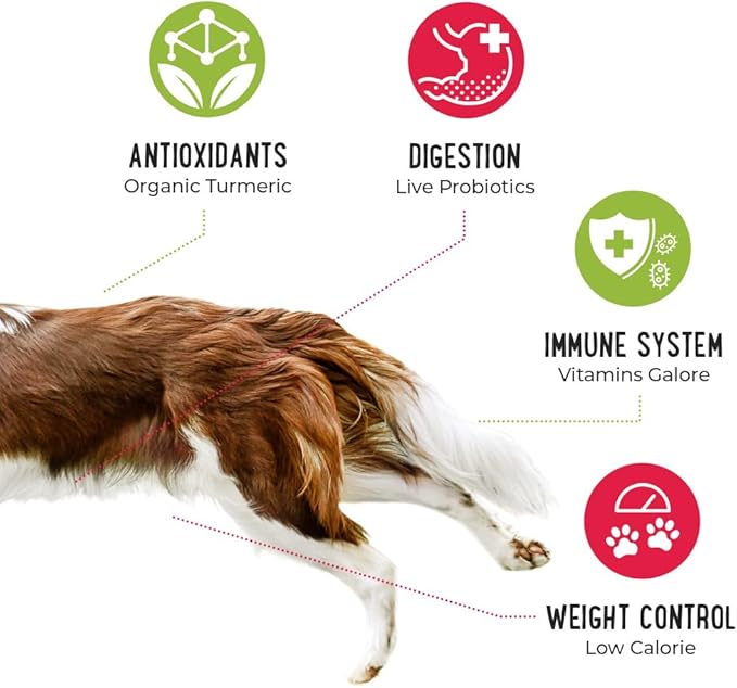 iHeartDogs Dog Food Topper - Freeze-Dried Raw Dog Food Seasoning with Collagen Peptides - Grain Free Superfood Meal Mixer (Beef, 3 Ounce)