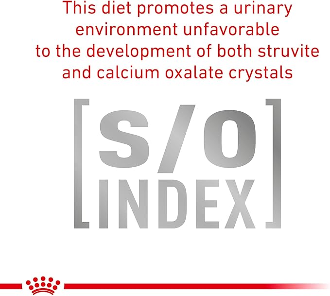 Royal Canin Veterinary Diet Canine Urinary SO Moderate Calorie Adult Thin Slices in Gravy Dog Food, 12.5 oz (Pack of 6)