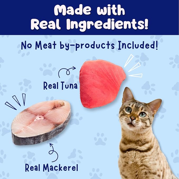 Queen's Cat & NUTRI PLAN Wet Cat Food Gourmet Tuna & Mackerel Meat Recipe 5.64 oz Cans, High Protein Taurine Rich, No Added Preservatives or Seasonings, Complete Balanced Nutrition, Pack of 24