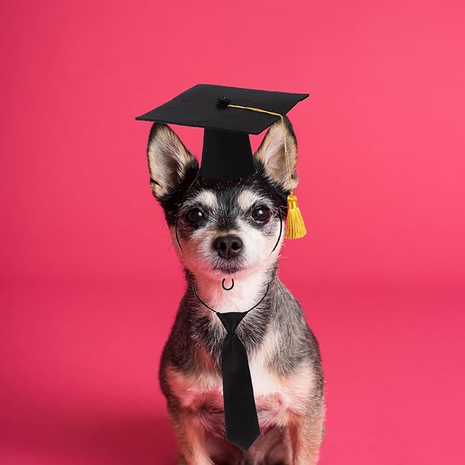 Pet Graduation Necktie and Doctoral Hat Set, Graduation-Themed Puppy Clothing Costume for Dogs and Cats, Party Accessories for Pet Supplies