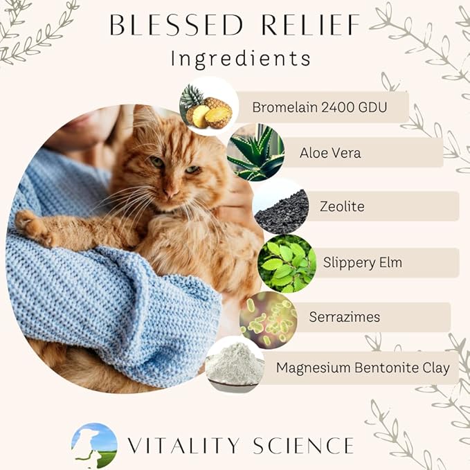 Vitality Science Blessed Relief for Cats | Seasonal Allergy Support | Improves Respiratory Function and Breathing | Heals Skin Helps Irritation (20g)