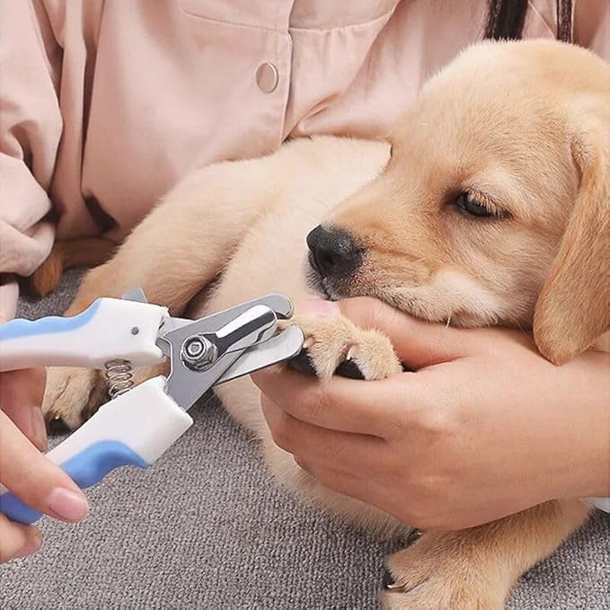Multi-Functional pet Nail Clippers Blue s