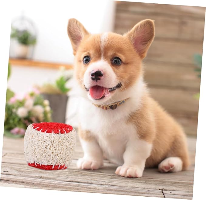 OUNONA 2pcs Natural Loofah Dog Chew Tennis Ball Pet Chewing Training Balls for Puppies Interactive Sturdy Dog Training Supplies Random Color