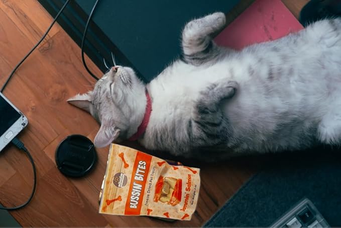 Bussin' Bites Premium Human Grade Freeze Dried Dog Treats/Cat Treats Training Treats and Meal Topper (2 oz, Salmon)
