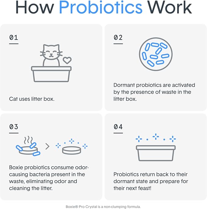 Boxie Probiotic Cat Litter, 40-Day Odor Control, Non-Clumping, Dust-Free, Crystal, 6lb, Multi-Cat
