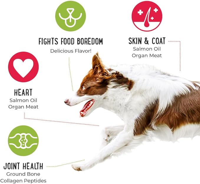 iHeartDogs Dog Food Topper - Freeze-Dried Raw Dog Food Seasoning with Collagen Peptides - Grain Free Superfood Meal Mixer (Beef, 3 Ounce)