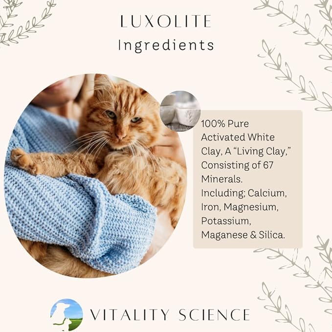Vitality Science - Gastro Prime Combo for Cats | Supports Normal GI Function and Improves Nutrient Assimilation, Liver (Tuna)
