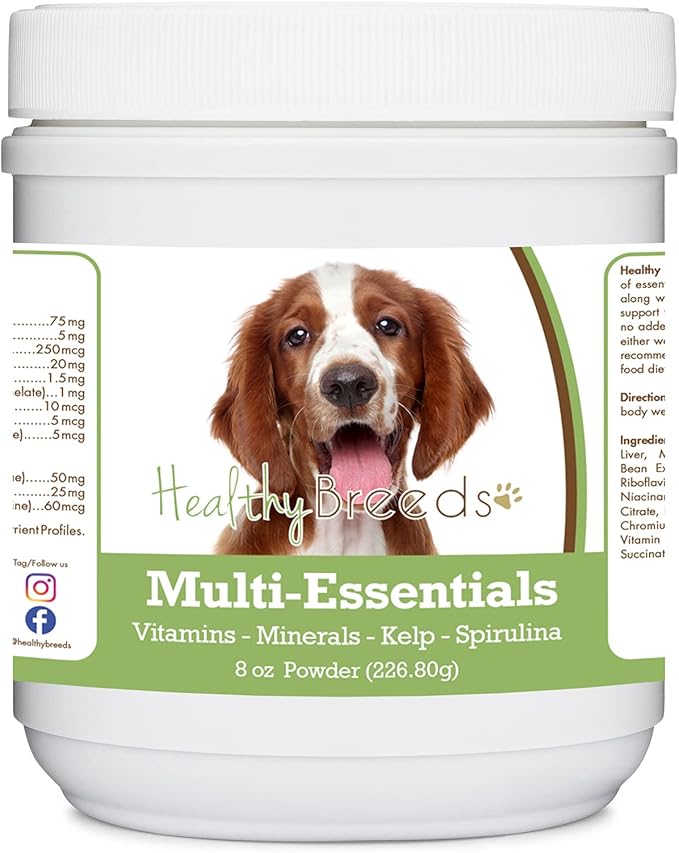 Healthy Breeds Welsh Springer Spaniel Multi-Essentials Powder for Dogs - an Ideal Supplement of Vitamins, Minerals & Antioxidants for Your Dog - 8 oz